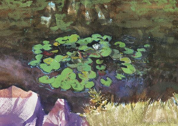 watercolor16.jpg